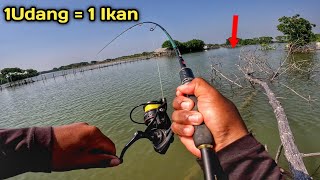 Mancing Dari Atas Pohon Mancing Sebentar Bisa Strikenya Bertubi2 [upl. by Poppo]