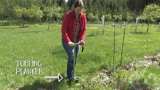 How to Plant Tree and Shrub Seedlings [upl. by Leibman]