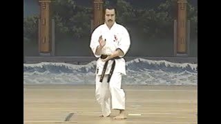 Chitoryu 50th Anniversary Demonstration — 1996 [upl. by Downs]