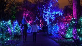 10th Anniversary of Garden Glow at the Missouri Botanical Garden [upl. by Ainniz920]