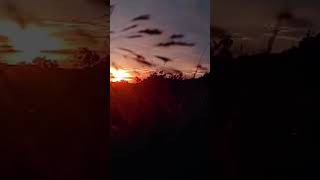 sunset newmusic music remix newsong song dance singer beutifulsunset cover musicgenre [upl. by Llertnor]