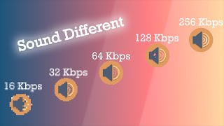 16 vs 32 vs 64 vs 128 vs 256 KBPS MUSIC COMPARISON  SOUND QUALITY DIFFERENCE BETWEEN 2024 [upl. by Analak]