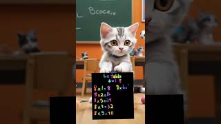 La tabla del 8 Cute kitten cat lovecats cats catvideos kittens catlover kitten [upl. by Aivlys]