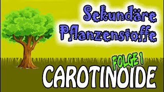 Sekundäre Pflanzenstoffe 🌺 Teil 1 Carotinoide Animationsfilm [upl. by Gurney]