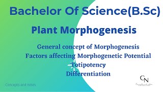 Morphogenesis  Totipotency  Differentiation  BSc Students  Concepts and Notes [upl. by Innej]