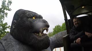 King Kong Onride Bobbejaanland 2019 [upl. by Gaw]