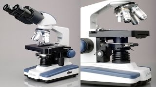 AmScope Biological Binocular Siedentopf Compound Microscope With 3D Double Layer Mechanical Stage [upl. by Afra3]