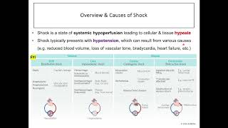 Vasopressors and Inotropes Drugs Used in Hypotension amp Shock [upl. by Isbella849]