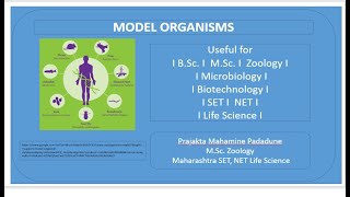 Introduction to model organisms [upl. by Aseena]