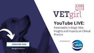 July 13 2023 YouTube LIVE Pancreatitis in Dogs New Insights and Impacts on Clinical Practice [upl. by Acinhoj417]