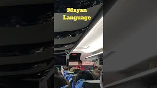 Mayan language maya mexico [upl. by Anaerb]