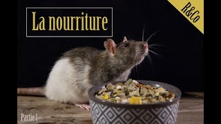 RatouphilesampCo  Les rats la nourriture partie 1 [upl. by Bordiuk]