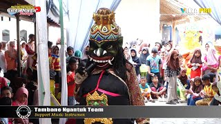 BUTA ROTADENAWA  BUROK DANGDUT CINTA NADA BUDAYA SHOW KARANGBALE 09082024 [upl. by Karr489]