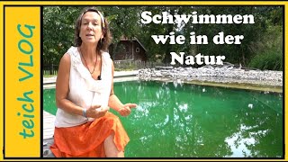 Warum ein Schwimmteich die beste Wahl ist [upl. by Aydiv]