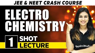 Electro Chemistry  One Shot Lecture  CHAMPIONS  JEENEET CRASH COURSE 2022 [upl. by Aysahc]