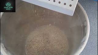 Corn Maize can process Thousands of Tons Per Day and remove mold3040tH Intelligent corn maize [upl. by Missi]