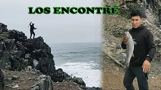 PESCA DE CORVINA CON ESPINEL EN PLAYAS DE LIMA  YONAS Fishing [upl. by Gnourt]