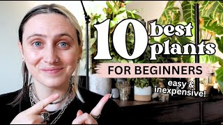 The 10 best plants to start with 🌿 Easy Plants for Beginners [upl. by Vern]