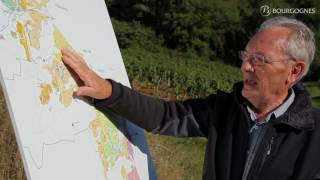 PouillyFuissé explained by JeanPierre Renard [upl. by Melitta]