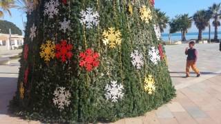 La Mata Torrevieja Christmas tree in Spain [upl. by Giacinta]