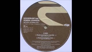 Goosebump feat Romina Johnson  Never Gonna Do Phunk Investigation Club Mix [upl. by Isolt829]