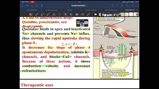 Antiarrhythmics drug [upl. by Platt]