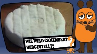 Wie wird Camembert hergestellt [upl. by Adnohsek26]