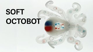 Octopod The first completely soft autonomous robot [upl. by Eldwun101]