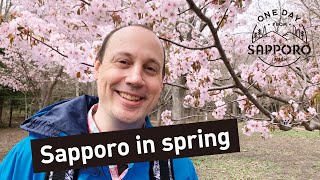 Sapporo in spring Cherry blossoms and a shrine  One Day from Sapporo Japan [upl. by Einahteb]