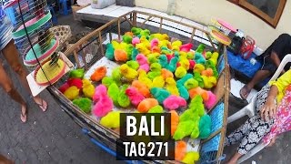 Bunte Küken  Tag 271  Bali  Weltreise  Vlog  Backpacking [upl. by Tarttan]