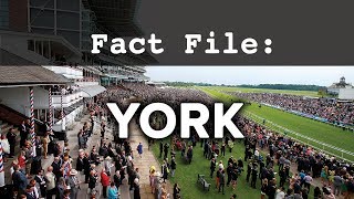 Fact File York Racecourse [upl. by Anertac]