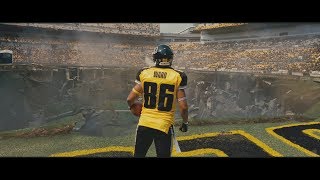 Hine Ward  Heinz Field pt 1 Career Highlight [upl. by Rubliw17]