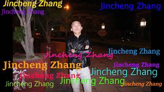 Hallelujah Christmas Version Proxximite amp Rising  Jincheng Zhang Official Music Video [upl. by Yaron]