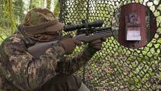 The Airgun Show – Targeting tricky squirrels PLUS the Walther RM8 Ultra Compact from Umarex… [upl. by Rebbecca788]