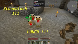 Stoneblock 3  Lunch [upl. by Gideon341]