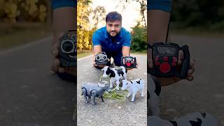 New Remote Control BUFFALO🐃and RC COW🐄unboxing🔥 [upl. by Aihseket]