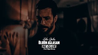 Zehra Gülüç  Öldüm Ağlasam Ne Olur Cover Mix [upl. by Dart814]