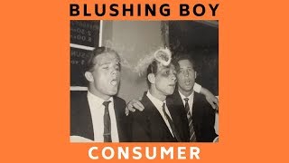 Blushing Boy  Consumer Official Audio [upl. by Yerfdog]