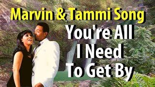 Marvin Gaye amp Tammi Terrell Youre All I Need [upl. by Carole324]