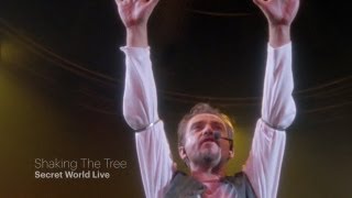 Peter Gabriel  Shaking The Tree Secret World Live HD [upl. by Sirtimid]