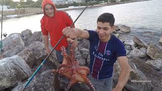 Streetfishing auf IBIZA  April 2019 [upl. by Secrest]