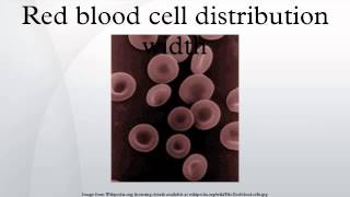 Red blood cell distribution width [upl. by Aelanna]