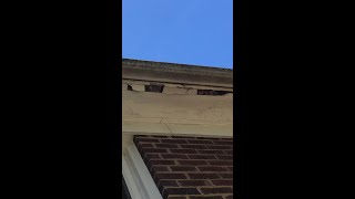 Replacing Rotted Eaves soffit and fascia by Yourself [upl. by Dodds]