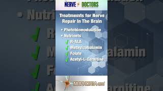 Multiple Sclerosis amp Peripheral Neuropathy  The Nerve Doctors [upl. by Meehahs]