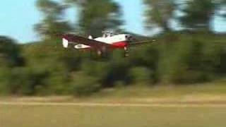 Ercoupe Landing in Grass [upl. by Yelkreb678]