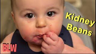 Maverick tries Kidney Beans  Baby Led Weaning 8 months [upl. by Stilla348]