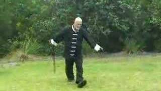 Kung Fu Walking Stick Basic Demonstration [upl. by Enorahs609]