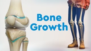 Bone Growth and Limb Deformities [upl. by Yendroc579]