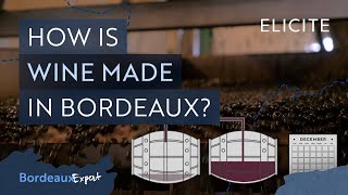 Red Winemaking in Bordeaux Explained [upl. by O'Brien]