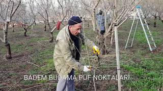 BADEM BUDAMADAKİ PÜF NOKTALAR [upl. by Averyl]